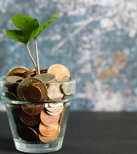 Jak maksymalizować przychody z Nativeo?